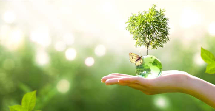 Repower: le offerte luce e gas