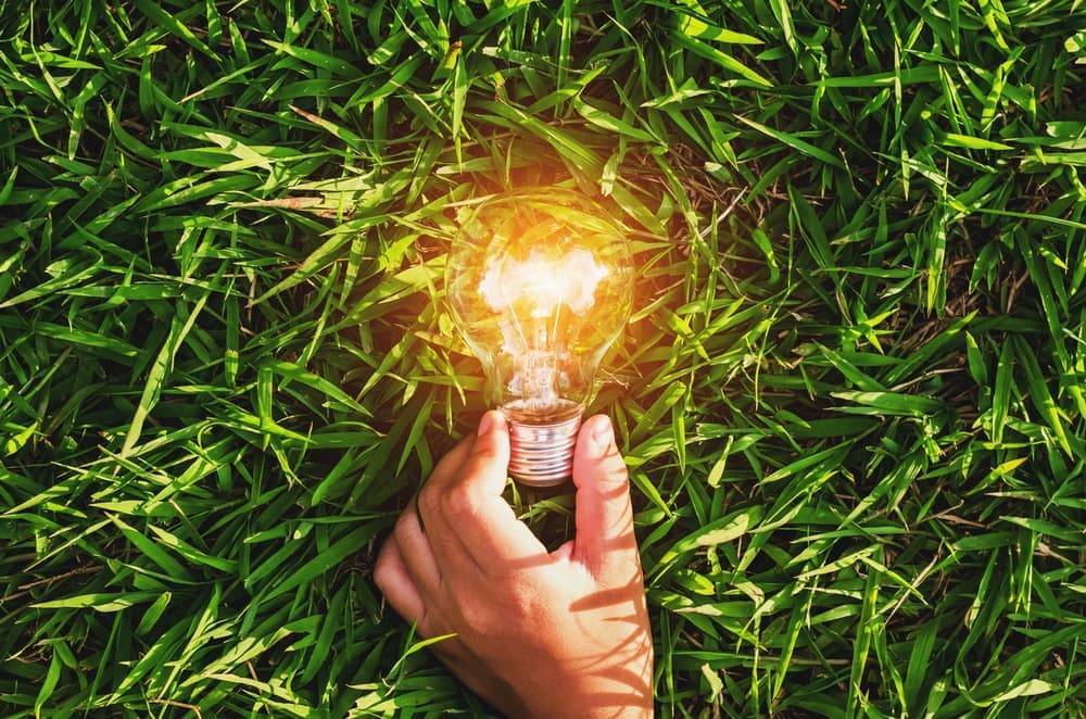 Tea Energia: scopri le migliori offerte e i contatti utili