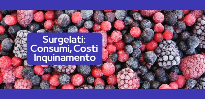 Aumento del consumo dei surgelati: più costi in bolletta e inquinamento