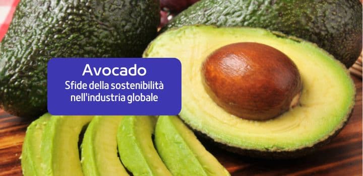 Sfide della sostenibilità nell'industria Globale dell'Avocado