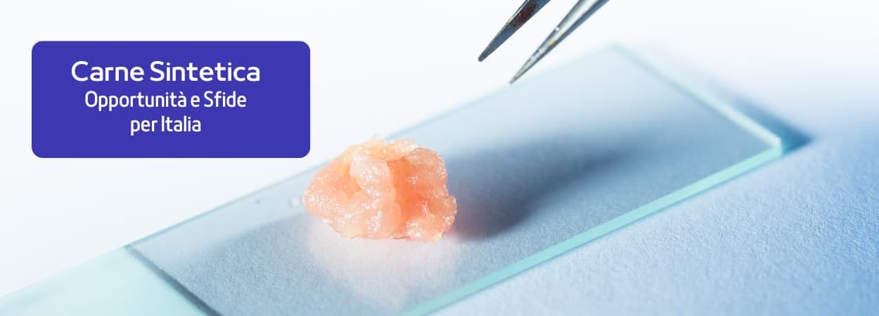 La rivoluzione della carne sintetica: opportunità e sfide per il futuro alimentare dell’Italia