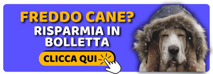 risparmia questo inverno