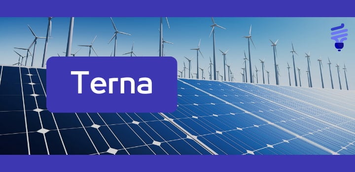 Terna: il suo ruolo nel mercato dell'energia