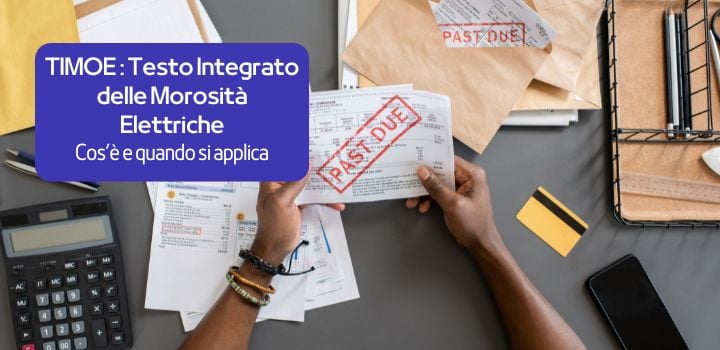 Che cos'è il TIMOE ARERA?