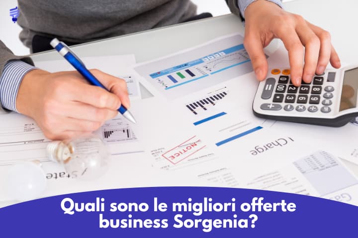 Quali sono le migliori offerte business Sorgenia?