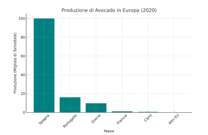 Avocado energia sostenibilità