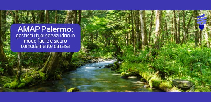 Amap S.p.A.: scopri i servizi, i contatti e i moduli da compilare