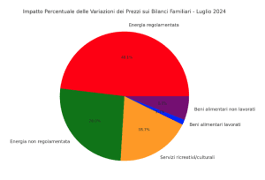 impatto percentuale delle variazioni dei prezzi su diverse categorie relative ai bilanci familiari in Italia